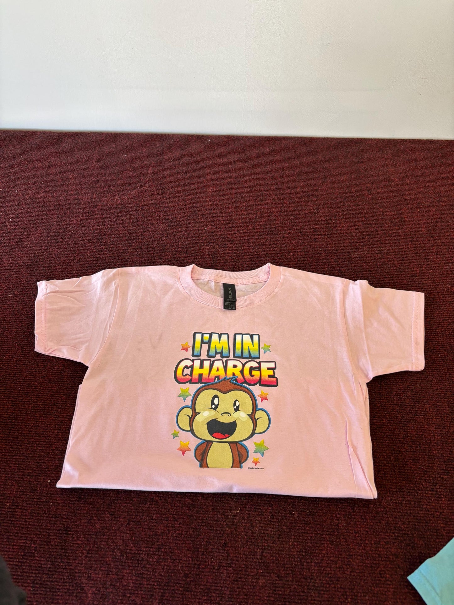 I"M IN CHARGE" Kids Unisex T Shirt *Light Pink & Light Blue*