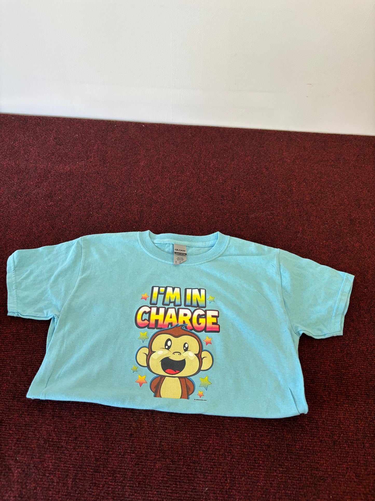 I"M IN CHARGE" Kids Unisex T Shirt *Light Pink & Light Blue*